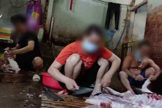 Đường dây cung cấp thịt heo bẩn: Cả làng giàu nhanh nhờ mổ heo lậu