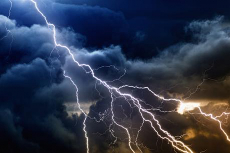 Trú mưa dưới gốc cây, thiếu phụ bị sét đánh tử vong-1