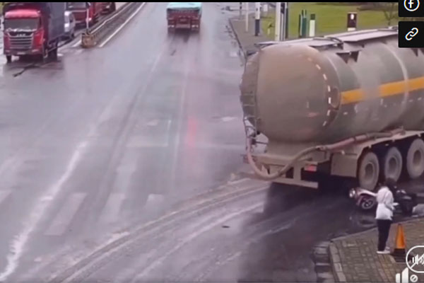 Trộm chó bị phát hiện, cẩu tặc chĩa súng dọa bắn chủ nhà rồi thản nhiên mang chó tẩu thoát-1