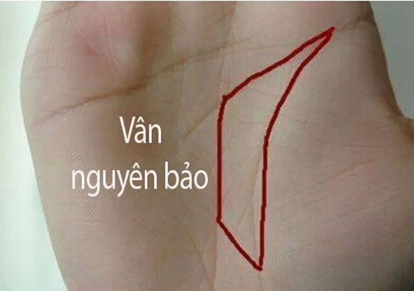 Mở lòng bàn tay nếu thấy có hình này: Được Thần Tài mở két rót tiền, giàu sang phú quý hơn người-2