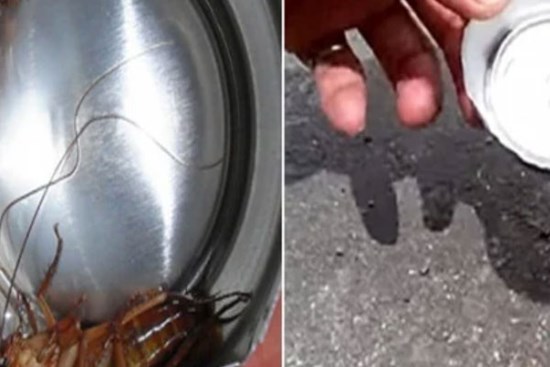 Chỉ 1 lon bia uống dở đuổi được cả trăm con gián ra khỏi nhà, mẹo hay phụ nữ cũng làm ngon ơ