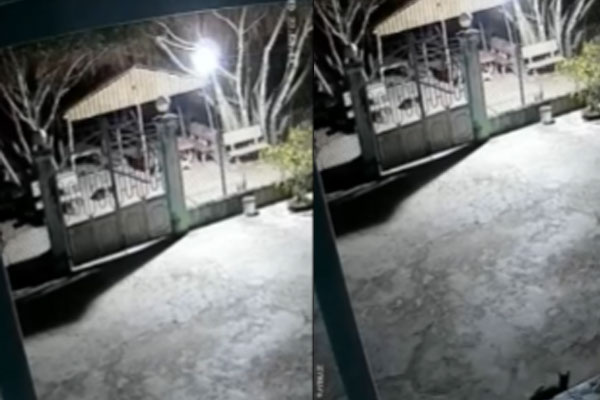 Hai người đi xe máy trộm chó ở TP.HCM-1