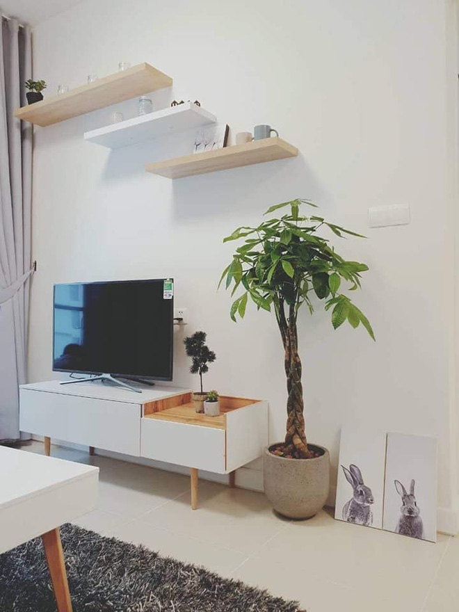 Thực mục sở thị một loạt các căn nhà mơ ước của Ngô Thanh Vân trước khi lên xe hoa-12