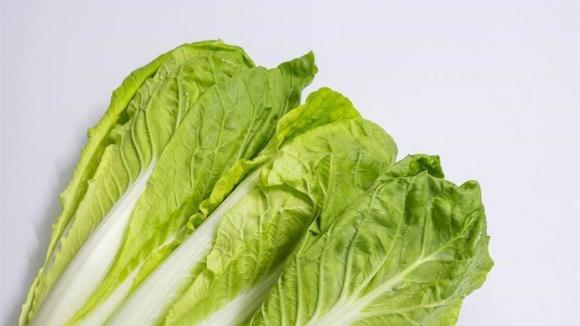 Sự khác biệt giữa cải thảo lá vàng và lá xanh là gì? Người bán rau bật mí, nó có sự khác biệt rất lớn-1