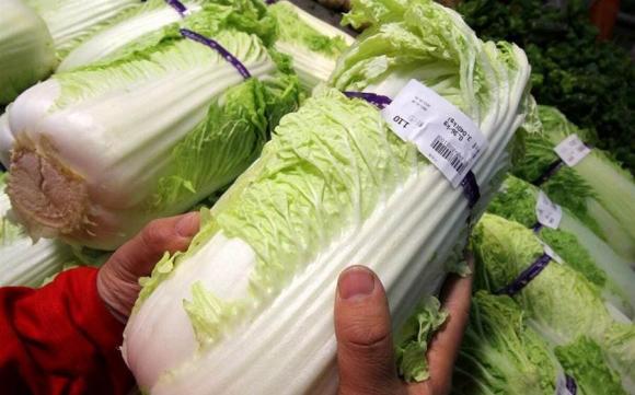 Sự khác biệt giữa cải thảo lá vàng và lá xanh là gì? Người bán rau bật mí, nó có sự khác biệt rất lớn-9