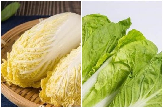 Sự khác biệt giữa cải thảo 'lá vàng' và 'lá xanh' là gì? Người bán rau bật mí, nó có sự khác biệt rất lớn
