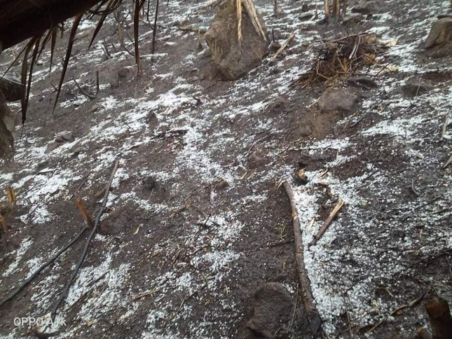 Mưa đá trắng xóa ở xã miền núi Nghệ An-1