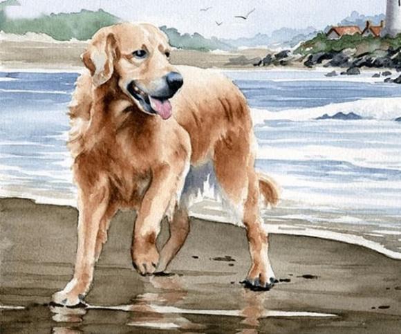 Nửa cuối tháng 2 âm lịch: 3 con giáp may mắn vượng vận quý nhân, tài lộc sung túc, làm gì cũng thuận lợi-3