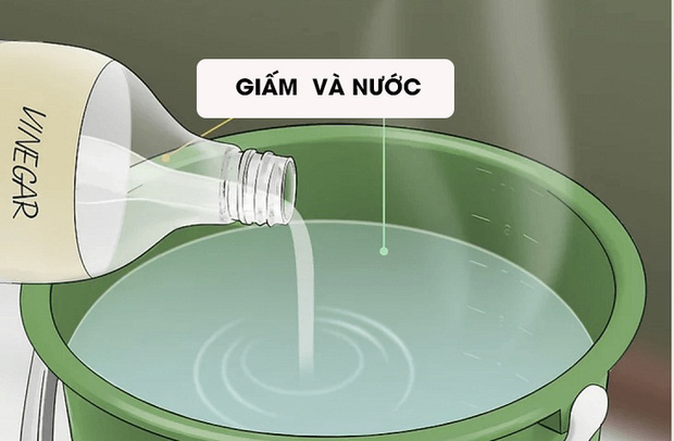 Tưởng quả nào cũng ép được, cô gái mang ngay hồng xiêm đi ép và cái kết khóc thét-4