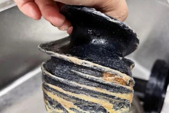 Tưởng quả nào cũng ép được, cô gái mang ngay hồng xiêm đi ép và cái kết khóc thét