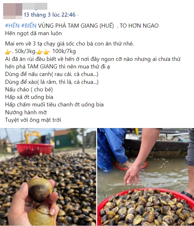 Cái gì cũng tăng giá nhưng riêng hải sản thì lại cực mềm, cuối tuần mua đổi gió cho gia đình lại quá là hợp lý-10