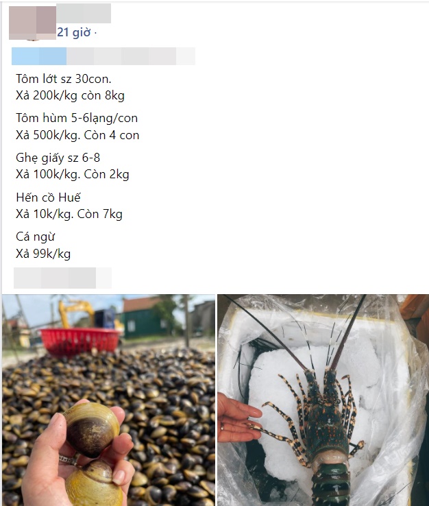 Cái gì cũng tăng giá nhưng riêng hải sản thì lại cực mềm, cuối tuần mua đổi gió cho gia đình lại quá là hợp lý-6