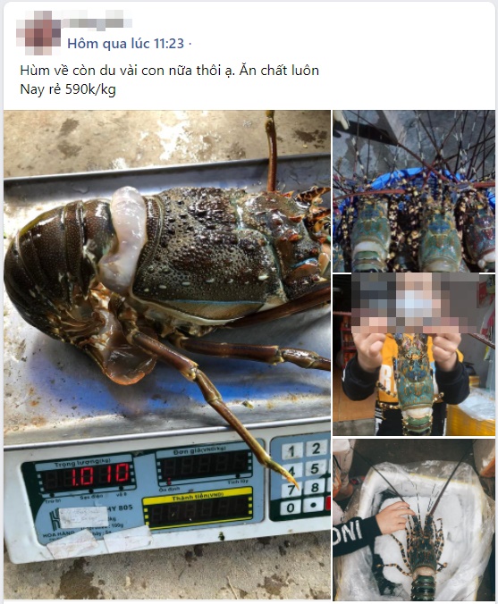 Cái gì cũng tăng giá nhưng riêng hải sản thì lại cực mềm, cuối tuần mua đổi gió cho gia đình lại quá là hợp lý-8