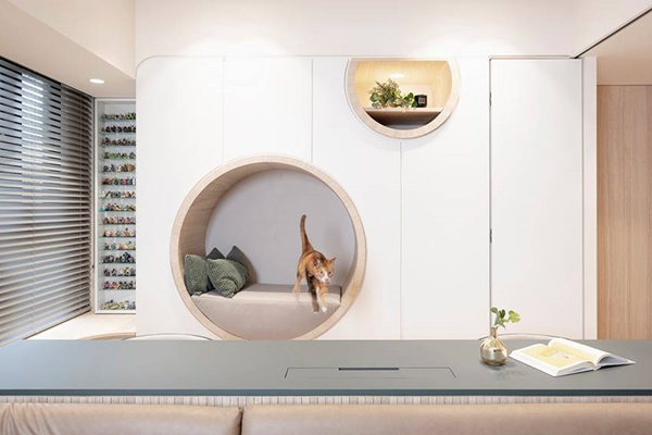 Cặp đôi thiết kế căn hộ đơn giản nhưng tiện nghi, có cả không gian sống thoải mái cho 2 chú mèo cưng dễ thương-2