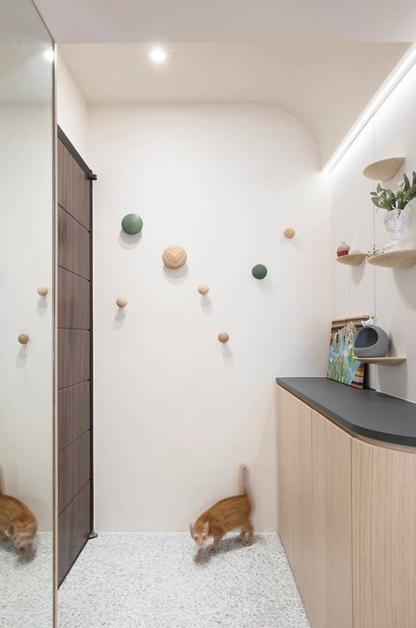 Cặp đôi thiết kế căn hộ đơn giản nhưng tiện nghi, có cả không gian sống thoải mái cho 2 chú mèo cưng dễ thương-4