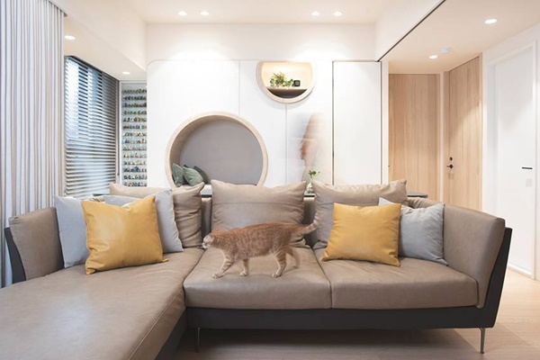 Cặp đôi thiết kế căn hộ đơn giản nhưng tiện nghi, có cả không gian sống thoải mái cho 2 chú mèo cưng dễ thương-6
