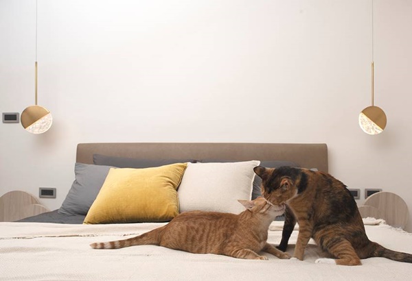 Cặp đôi thiết kế căn hộ đơn giản nhưng tiện nghi, có cả không gian sống thoải mái cho 2 chú mèo cưng dễ thương-13