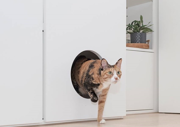 Cặp đôi thiết kế căn hộ đơn giản nhưng tiện nghi, có cả không gian sống thoải mái cho 2 chú mèo cưng dễ thương-16