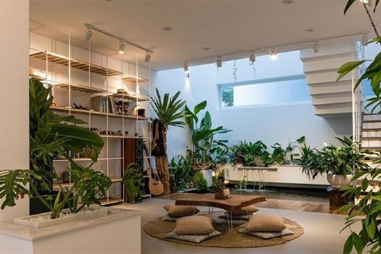 Lối vào nhà xuất hiện 3 vật cực phẩm: Gia chủ may mắn liên tiếp