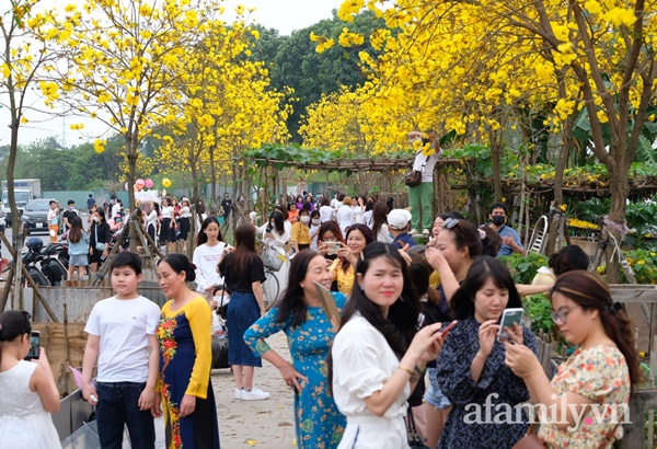 Đường hoa phong linh Park City vừa đóng cửa, người Hà Nội lại đổ xô tới chụp ảnh tại 1 địa điểm khác tạo nên khung cảnh đông đúc, hỗn loạn-1