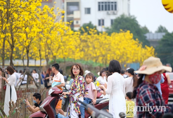 Đường hoa phong linh Park City vừa đóng cửa, người Hà Nội lại đổ xô tới chụp ảnh tại 1 địa điểm khác tạo nên khung cảnh đông đúc, hỗn loạn-3