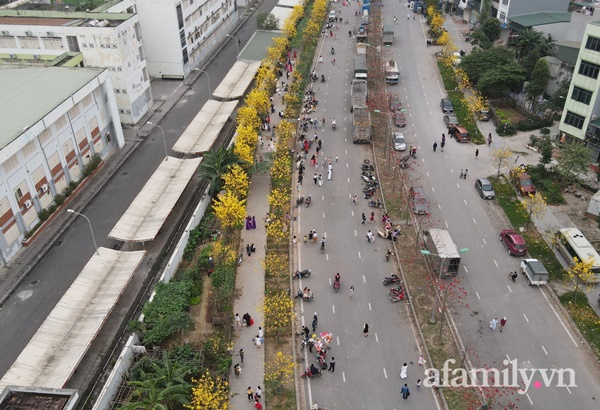 Đường hoa phong linh Park City vừa đóng cửa, người Hà Nội lại đổ xô tới chụp ảnh tại 1 địa điểm khác tạo nên khung cảnh đông đúc, hỗn loạn-6