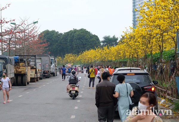Đường hoa phong linh Park City vừa đóng cửa, người Hà Nội lại đổ xô tới chụp ảnh tại 1 địa điểm khác tạo nên khung cảnh đông đúc, hỗn loạn-7