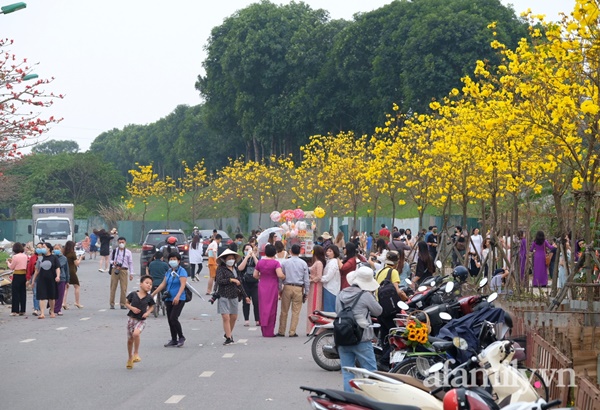 Đường hoa phong linh Park City vừa đóng cửa, người Hà Nội lại đổ xô tới chụp ảnh tại 1 địa điểm khác tạo nên khung cảnh đông đúc, hỗn loạn-8