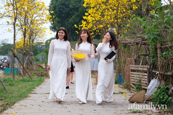 Đường hoa phong linh Park City vừa đóng cửa, người Hà Nội lại đổ xô tới chụp ảnh tại 1 địa điểm khác tạo nên khung cảnh đông đúc, hỗn loạn-10