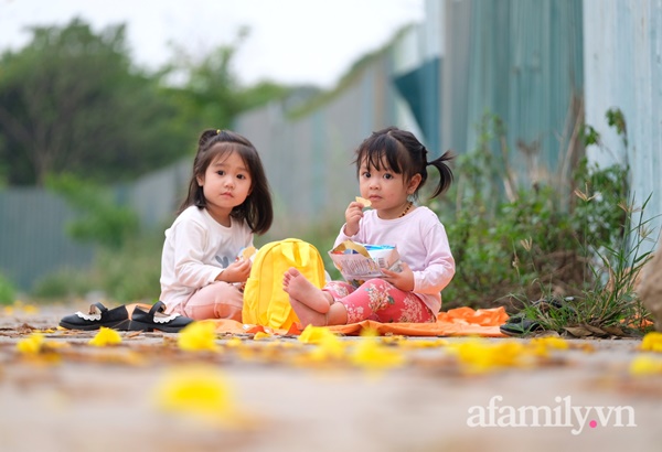 Đường hoa phong linh Park City vừa đóng cửa, người Hà Nội lại đổ xô tới chụp ảnh tại 1 địa điểm khác tạo nên khung cảnh đông đúc, hỗn loạn-13