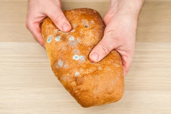 Chuyện gì xảy ra nếu bạn vô tình ăn phải nấm mốc?-2