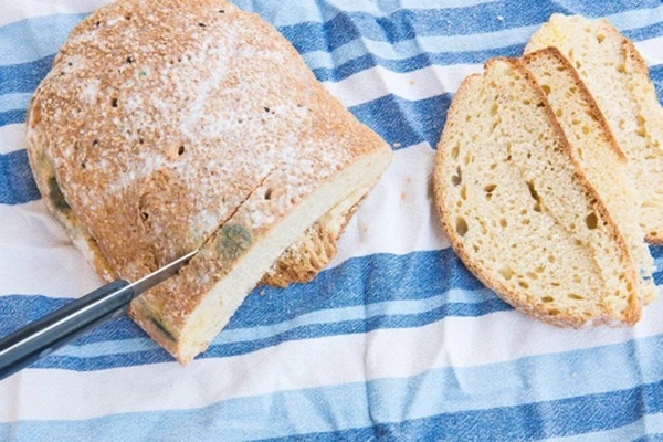 Chuyện gì xảy ra nếu bạn vô tình ăn phải nấm mốc?-3