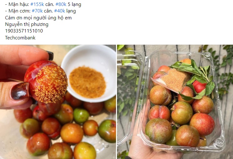 Mận đầu mùa đắt đỏ, giá vài trăm nghìn đồng/kg vẫn được vét sạch-6