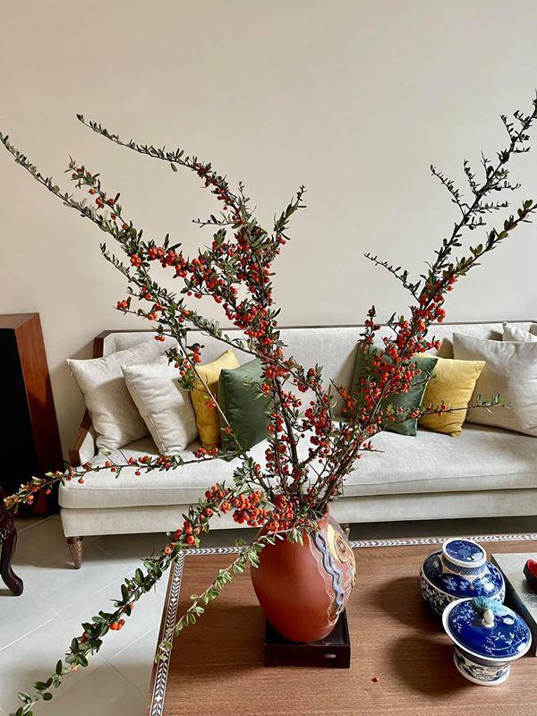 Đến thăm cơ ngơi đậm chất thiền của ca sĩ Quang Dũng-3