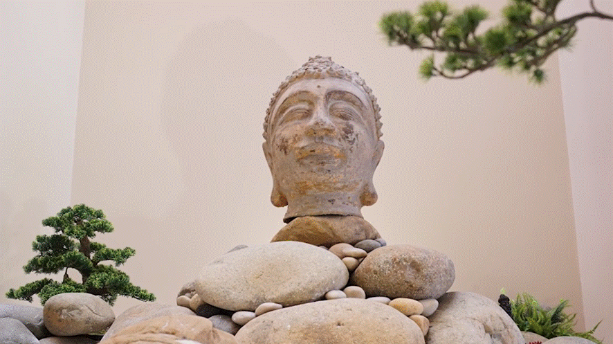 Đến thăm cơ ngơi đậm chất thiền của ca sĩ Quang Dũng-19