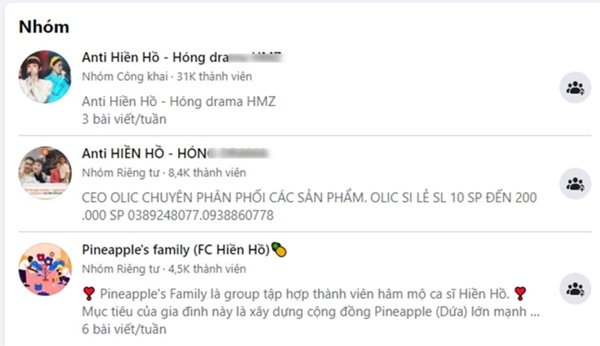 Các nhóm tẩy chay Hiền Hồ xuất hiện trên mạng xã hội-1