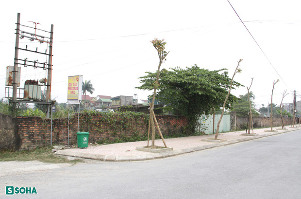 Kỳ án bộ xương khô trong chiếc chăn hoa: Cô gái đã gặp ai vào đêm cuối cùng?-1