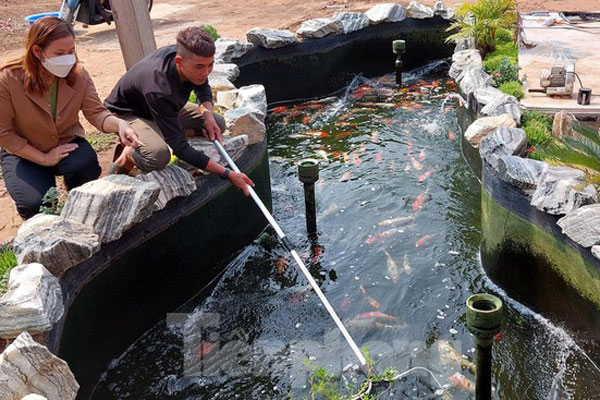 Loài cá lạ giá 800 nghìn đồng/kg vẫn không có hàng để bán-6