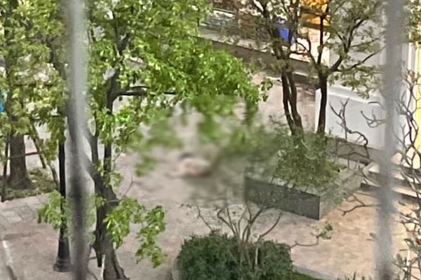 Vụ nữ sinh rơi từ tầng 26 chung cư tử vong: Nguyên nhân ban đầu-2