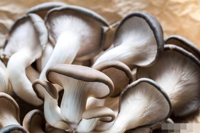 4 loại nguyên liệu không thể rửa trực tiếp bằng nước, để tự tin ăn uống cần làm theo cách này-4