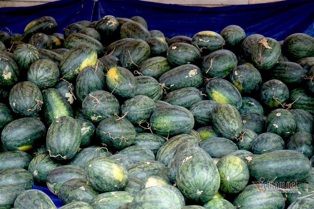 Dưa hấu 5 nghìn, thanh long 8 nghìn: Phơi nắng vỉa hè chờ giải cứu-9