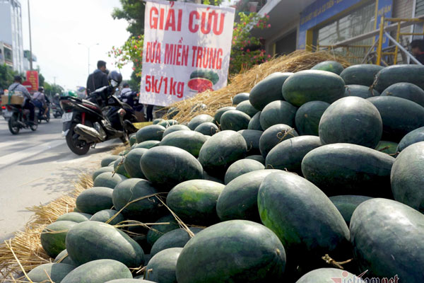 Giá gừng rẻ chưa từng có-2