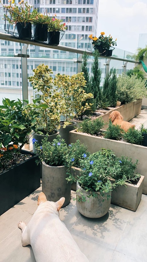 Ngôi nhà mang phong cách vintage xanh mướt, cực đẹp, cực chất của fashionista Châu Bùi ở tuổi 22-18