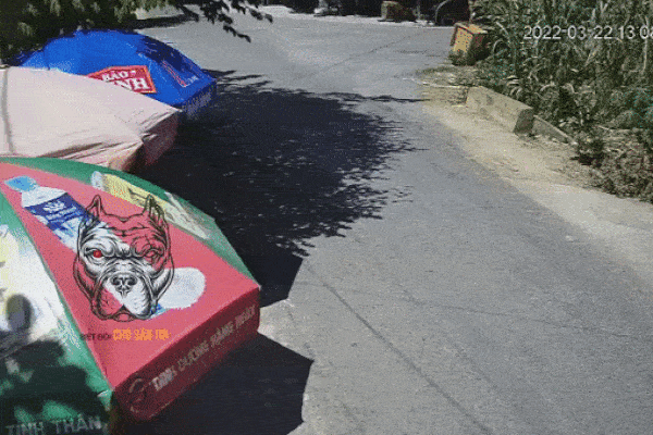 Người phụ nữ bị ô tô hất văng, cán qua người đầy thương tâm, nguyên nhân gây tranh cãi