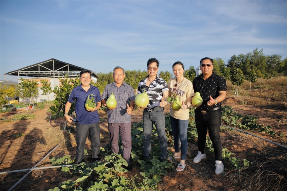 Ngọc Sơn mua khu vườn rộng 50 héc ta tại Bình Thuận để trồng rau, nuôi cá-5