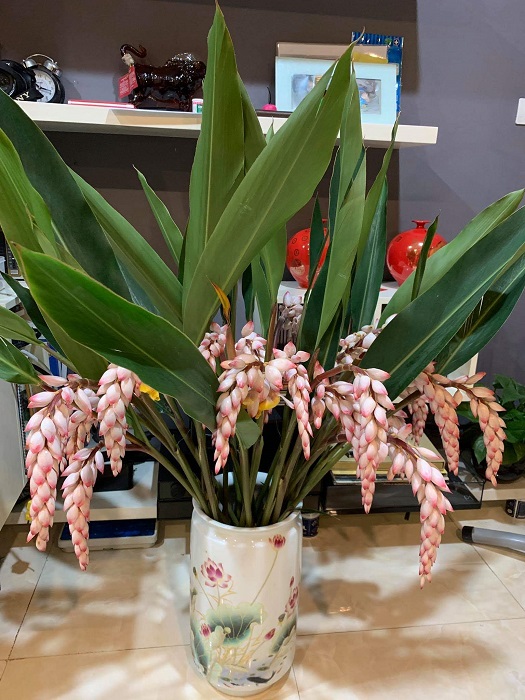 Loại hoa rừng nhìn như bông lúa hút khách Hà thành, người dân cắt không kịp bán-5