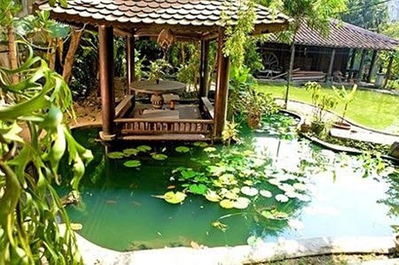 Mãn nhãn với căn nhà duy nhất mà Á hậu Dương Trương Thiên Lý lỡ khoe suốt một thật kỷ ở ẩn-16