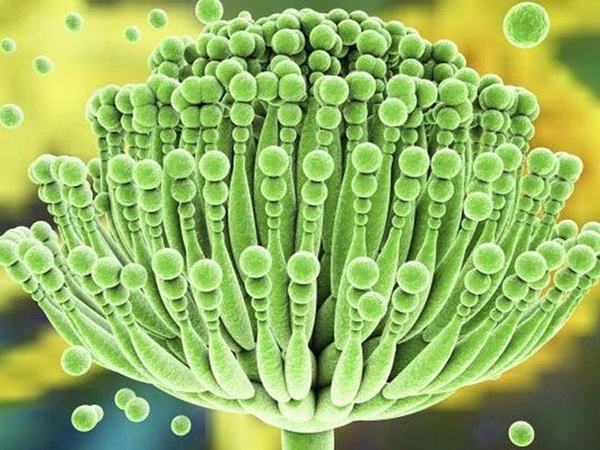 Chỉ 1mg cũng đủ gây ung thư, WHO xếp hạng đây là chất gây ung thư nhóm 1, thường trú ngụ trong 5 món ăn quen thuộc-1