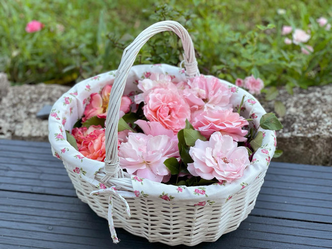 Khu vườn 300m2 ngập sắc hoa của vợ chồng thạc sĩ Việt ở Đức-12