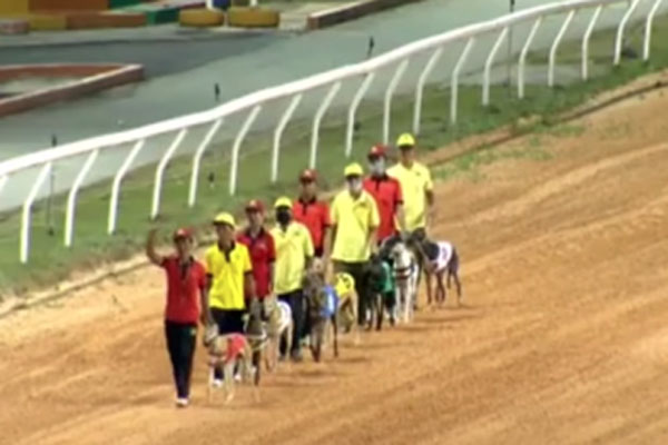 Bộ Công an thông tin chính thức vụ bắt bị can Nguyễn Phương Hằng-3